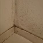 mur humide qui comporte des infiltrations d'eau